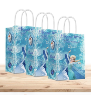 Frozen Goody bag